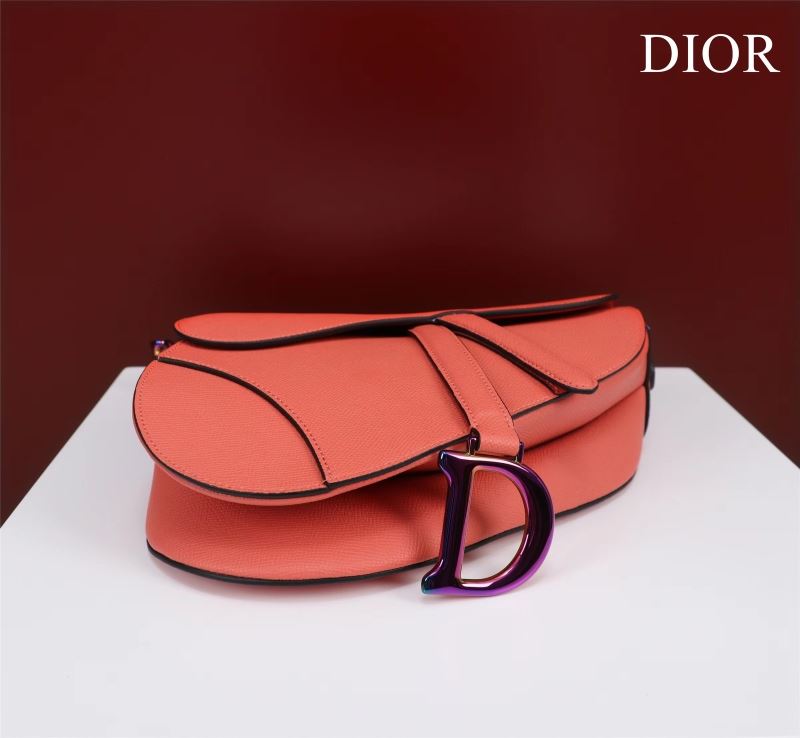 Christian Dior Saddle Bags